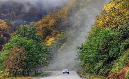 نابترین چشماندازهای طبیعی در تالش ؛ از آبشارهای زیبا تا درختان سربه فلک کشیده