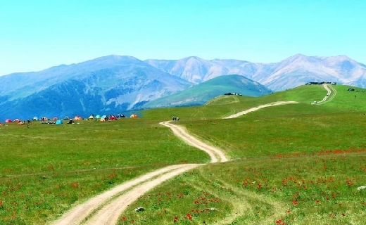 نابترین چشماندازهای طبیعی در تالش ؛ از آبشارهای زیبا تا درختان سربه فلک کشیده