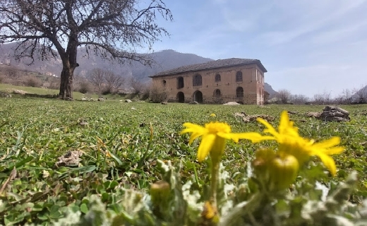 نابترین چشماندازهای طبیعی در تالش ؛ از آبشارهای زیبا تا درختان سربه فلک کشیده