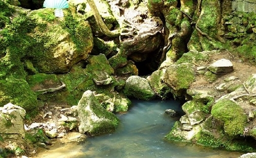 چشماندازهای رویای در رودسر، از ساحلهای زیبا تا تپههای سرسبز چشماندازهای رویای در رودسر، از ساحلهای زیبا تا تپههای سرسبز