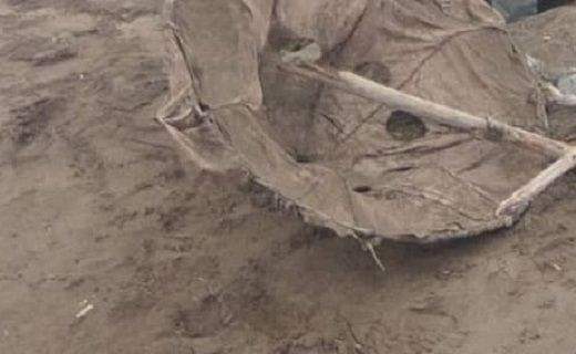 کشف تلههای زندهگیری پرندگان در پارک بوجاق کشف تلههای زندهگیری پرندگان در پارک بوجاق