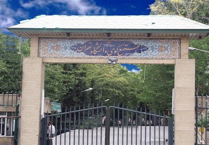 قتل یک دانشجو