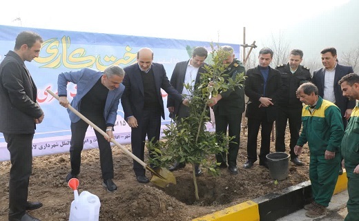 حفظ سرسبزی گیلان در گرو کاشت و داشت درختان