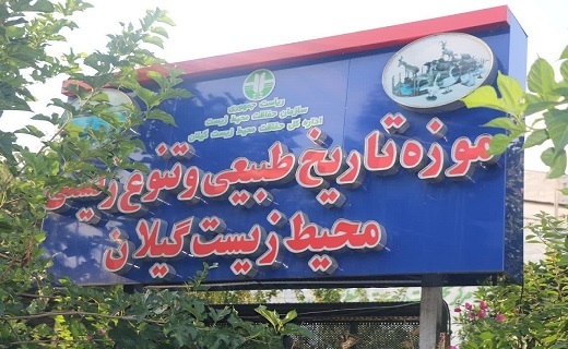 موزه تاریخ طبیعی و تنوع زیستی گیلان