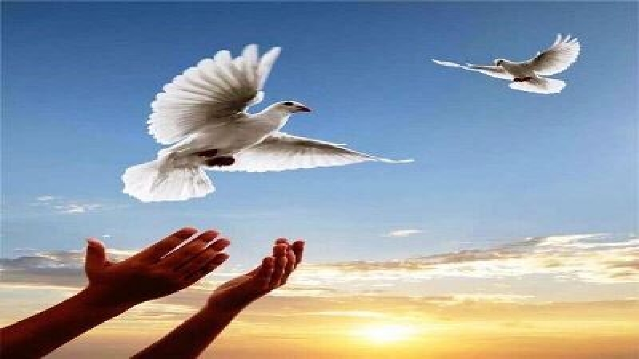 آزادی ۵۰ زندانی جرائم غیرعمد در گیلان