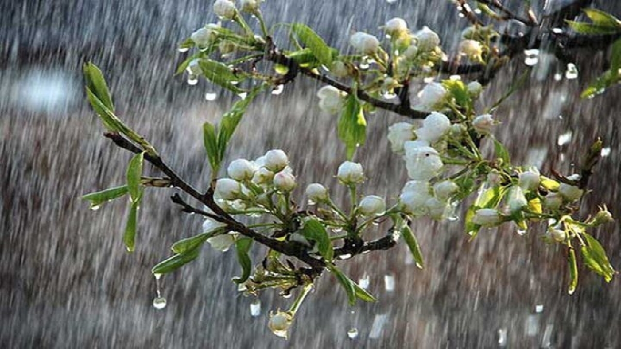 کاهش ۱۷ درجه ای دمای هوای گیلان