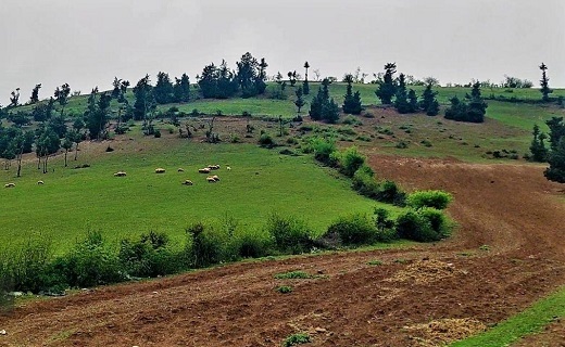 نوبهار است در آن کوش که خوشدل باشی