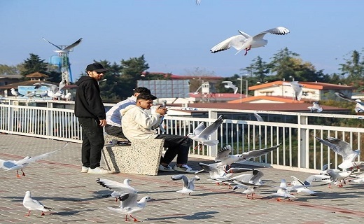 گیلان، دوستدار همیشگی پرندگان مهاجر