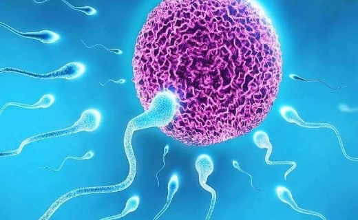 جامعه جوان، توسعه پایدار / بحران جمعیتی جدی گرفته شود/ منتشر نشود