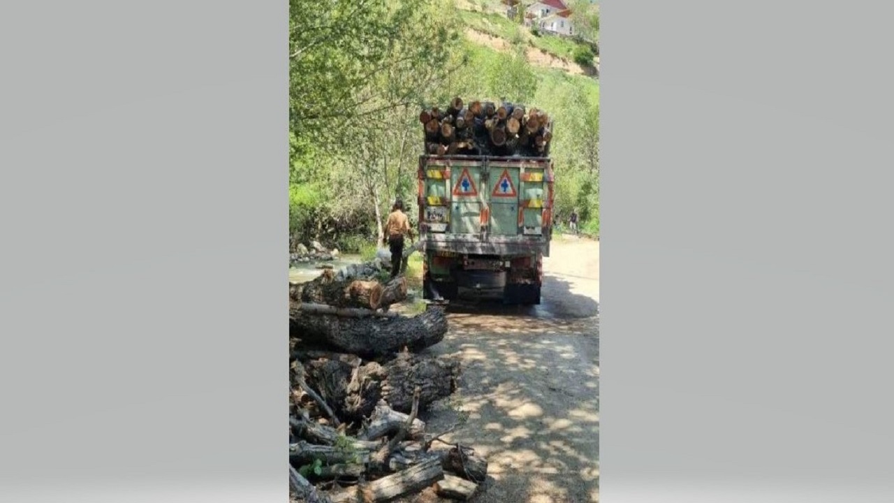 کشف ۸ تن چوب قاچاق در شهرستان سیاهکل