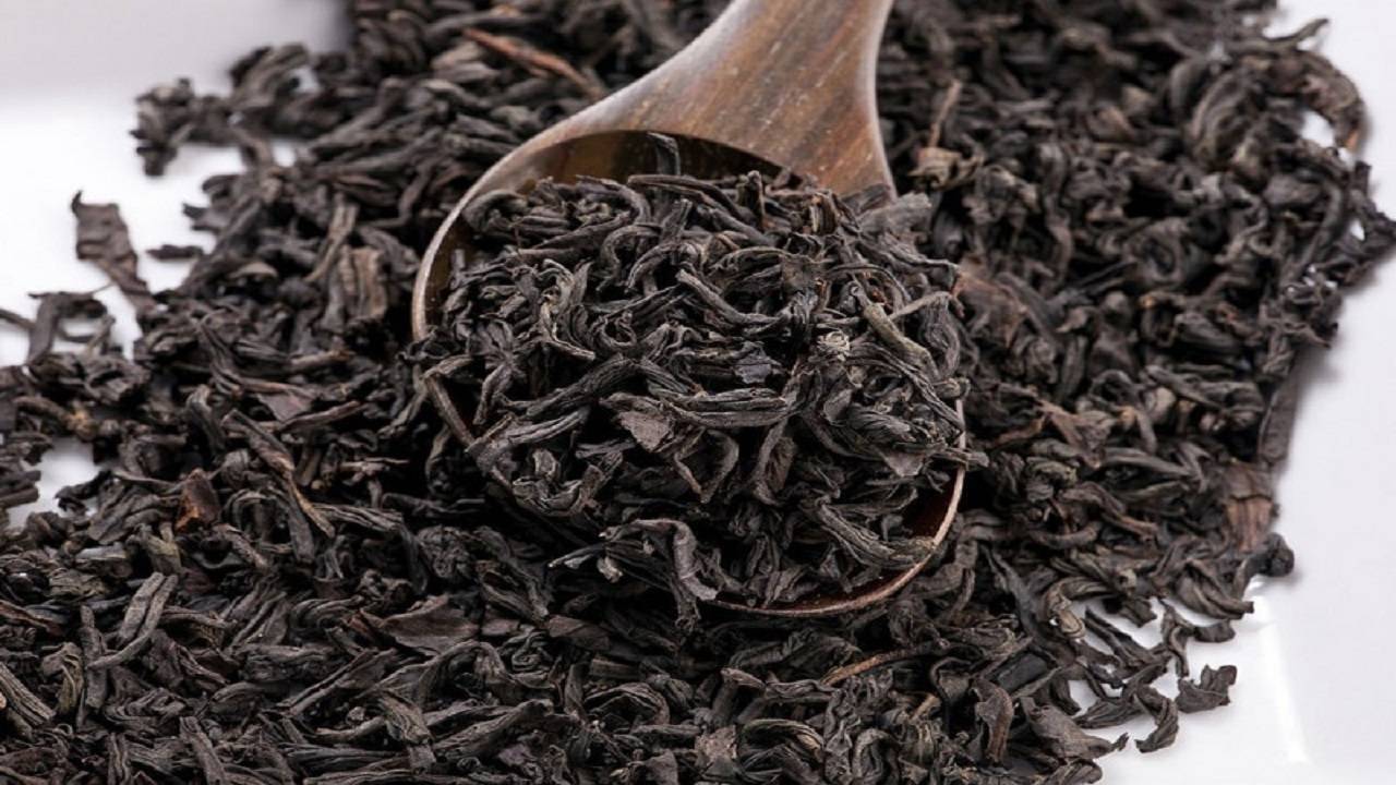 استحصال نزدیک به ۱۱ هزار تن چای خشک در سال ۱۴۰۴