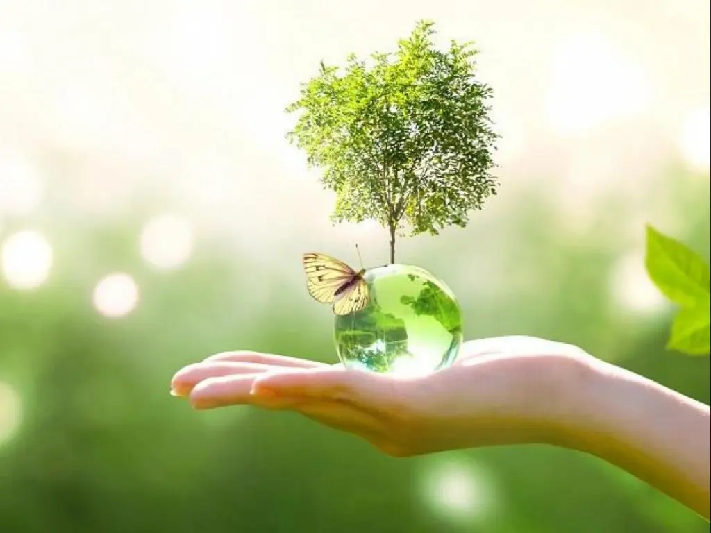 به مناسبت هفته محیط زیست ، لزوم توجه به حفظ محیط زیست در عصر حاضر