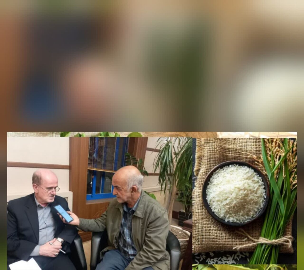 واردات برنج در سه ماهه امسال حدود ۵۰۵ هزار تن است