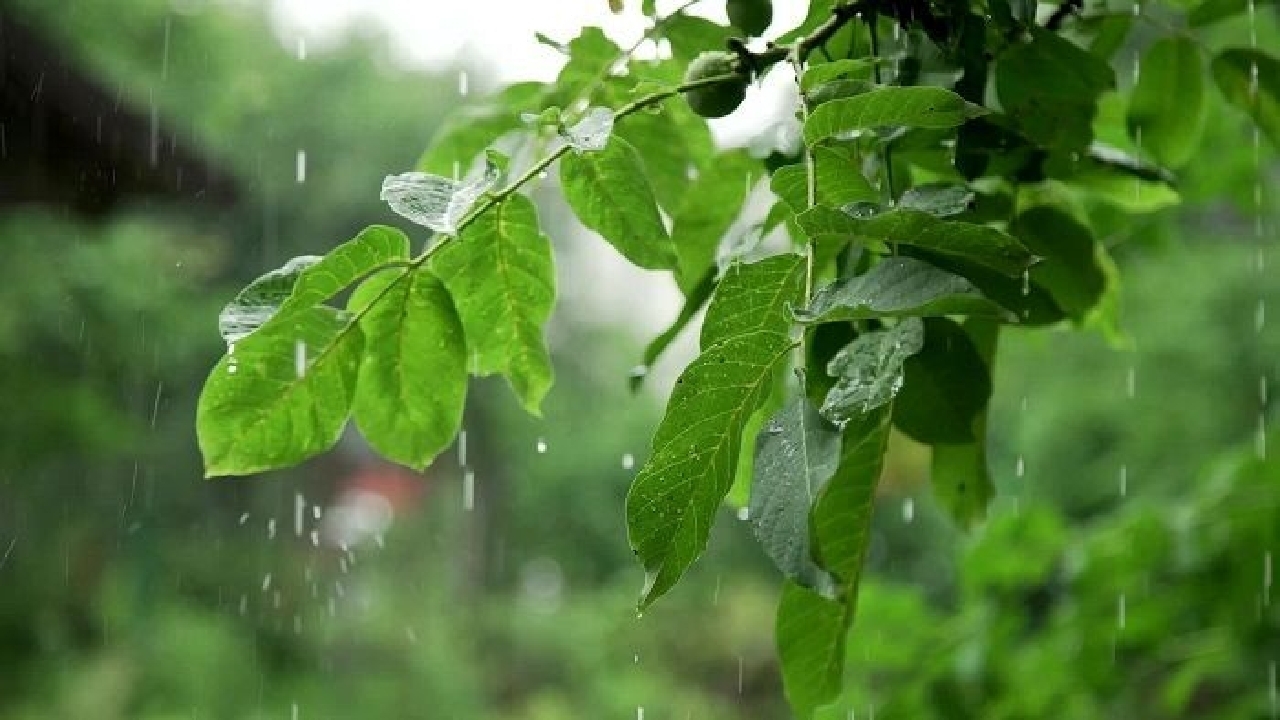 کاهش نسبی دما تا پایان هفته در گیلان