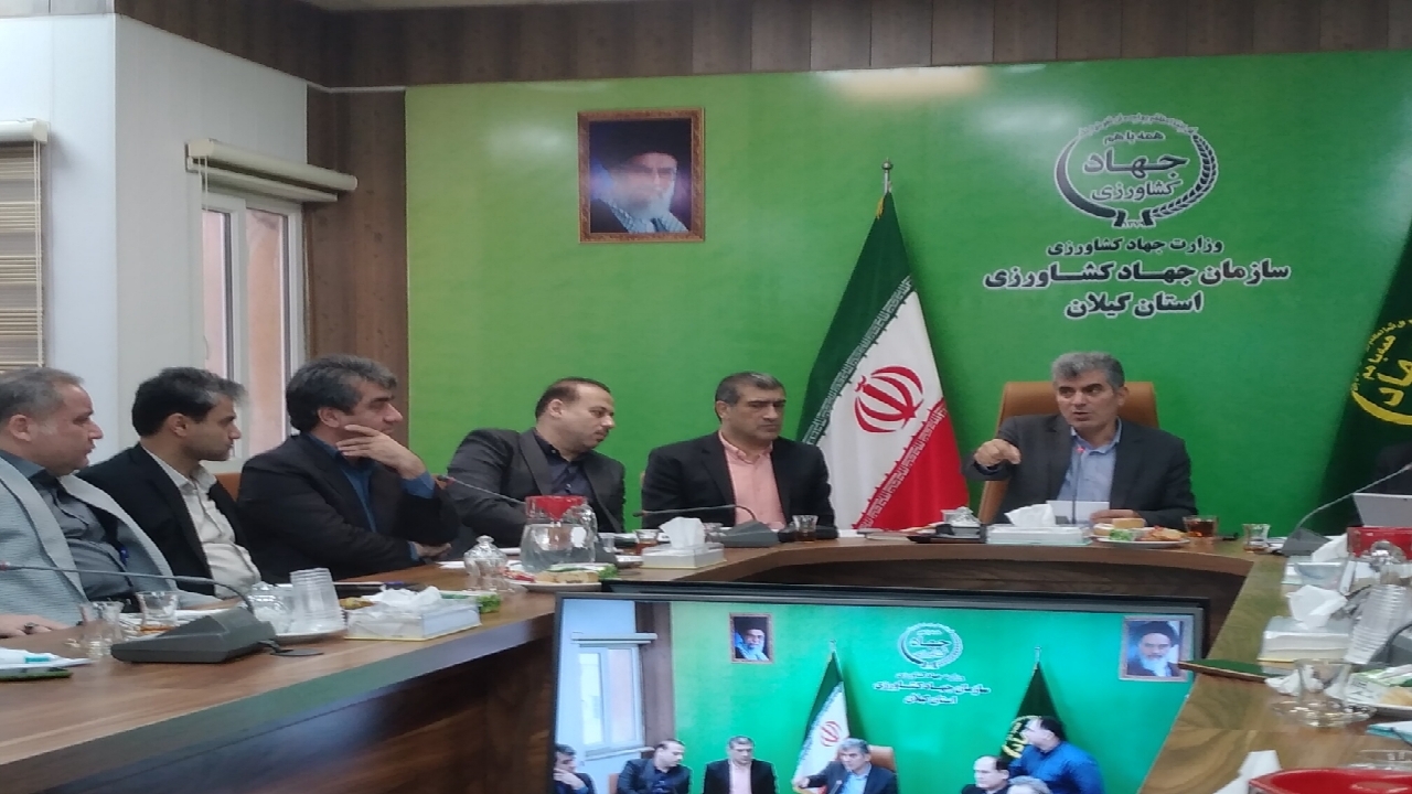 ۵۰ درصد اقتصاد گیلان حول محور کشاورزی است