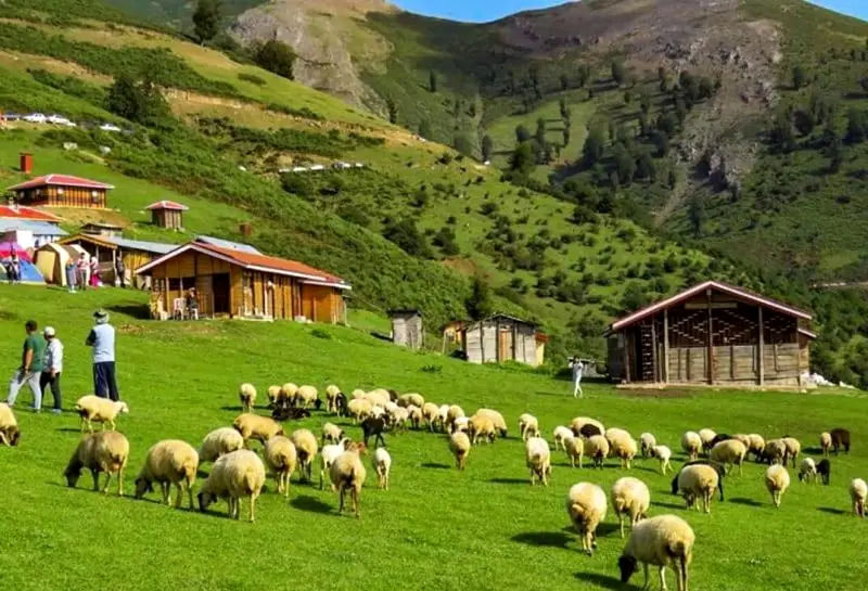 ییلاق سوچاله