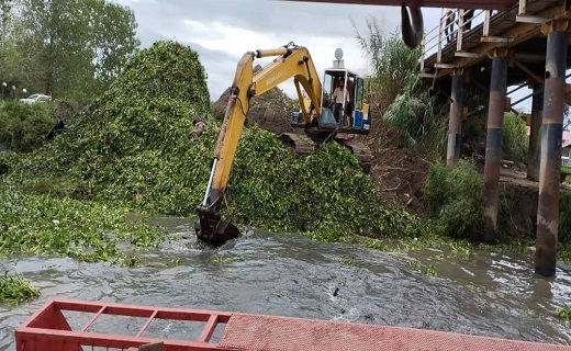 پاکسازی زیر پل نهنگ روگای انزلی از سنبل آبی + فیلم و تصاویر