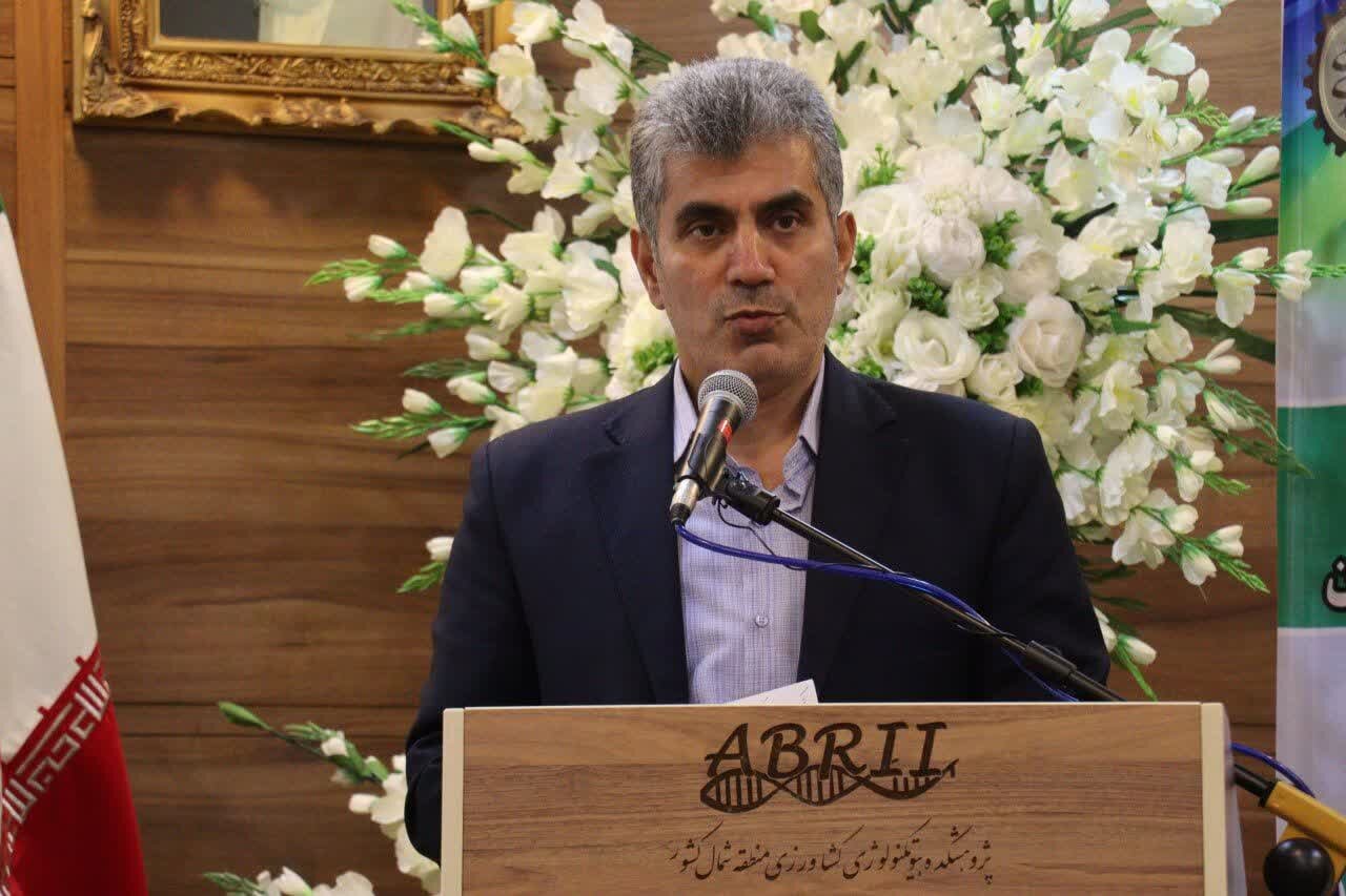 بیش از ۳۷۰ هزار هکتار اراضی کشاورزی گیلان رفع تداخل شد