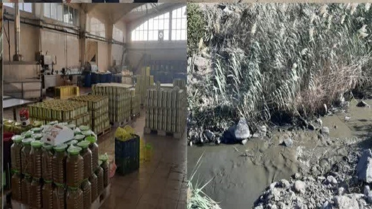 مشکلات زیست‌محیطی کارخانه‌های زیتون منجیل