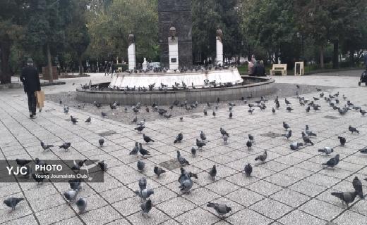 حال و هوای پاییزی بازار رشت + تصاویر حال و هوای پاییزی بازار رشت + تصاویر