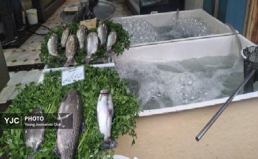 حال و هوای پاییزی بازار رشت + تصاویر حال و هوای پاییزی بازار رشت + تصاویر