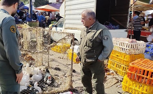 پایش دوره‌ای بازار‌های محلی گیلان برای حفظ سلامت زیست بوم