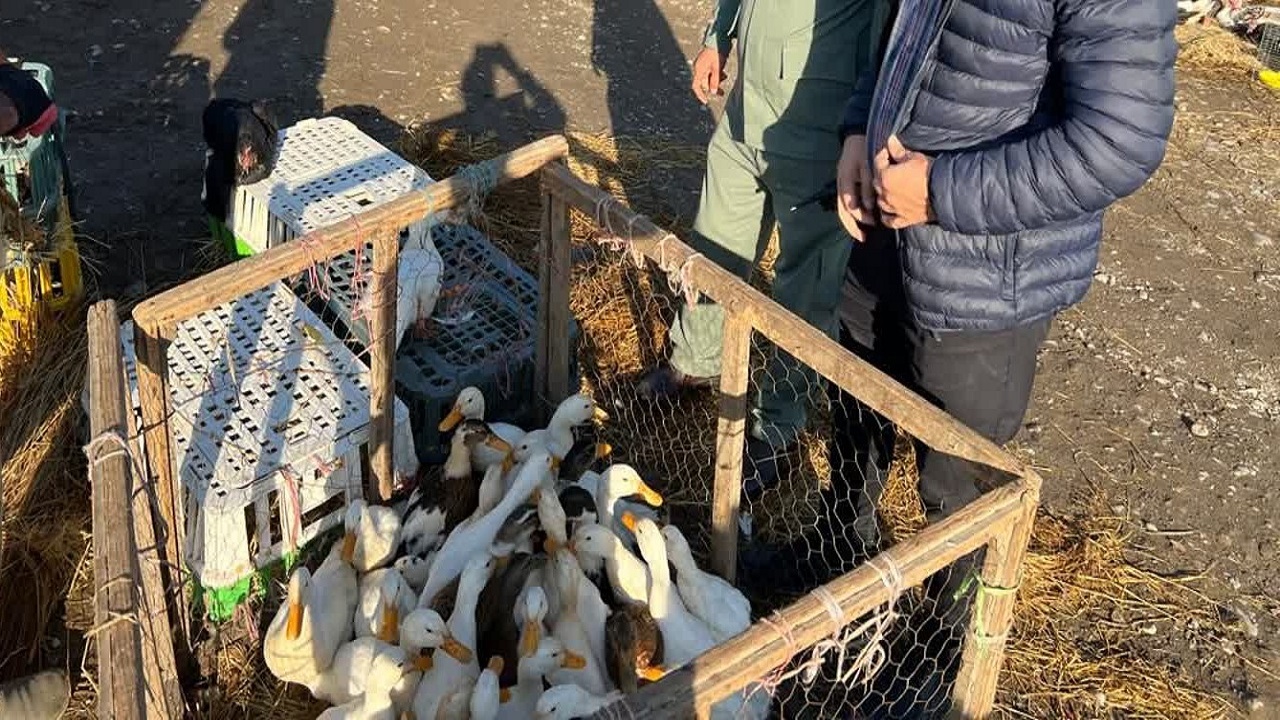 پایش بازار‌های محلی گیلان با هدف حفظ سلامت عمومی