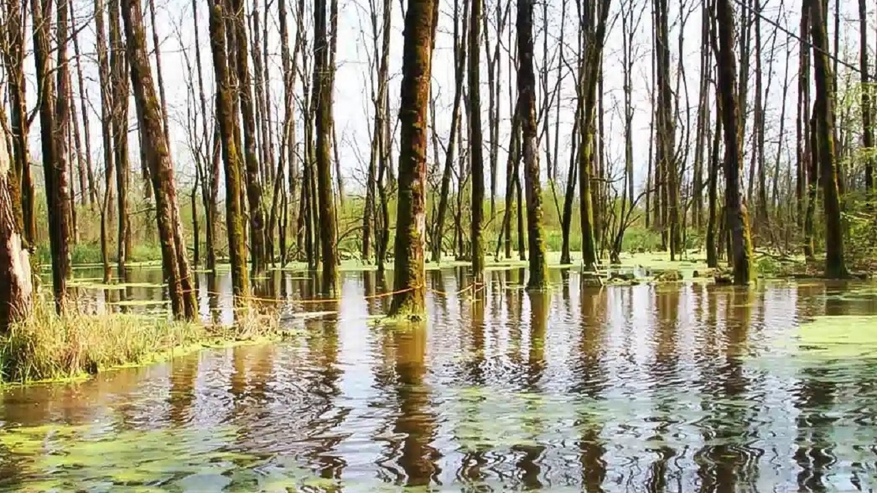 پایان تلخ یک جست‌وجو؛ کشف پیکر دختربچه گمشده رشتی در رودخانه