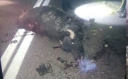 جان باختن راننده جوان در تصادف محور سنگر به سیاهکل جان باختن راننده جوان در تصادف محور سنگر به سیاهکل