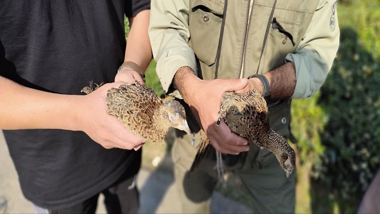 همکاری مردم و محیط بانان در صیانت از تنوع زیستی گیلان 