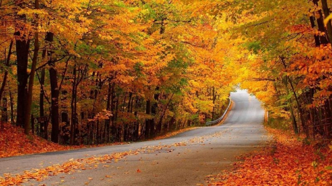 کاهش دمای هوا از اواسط هفته آینده/ از برافروختن آتش در مناطق جنگلی گیلان خودداری شود