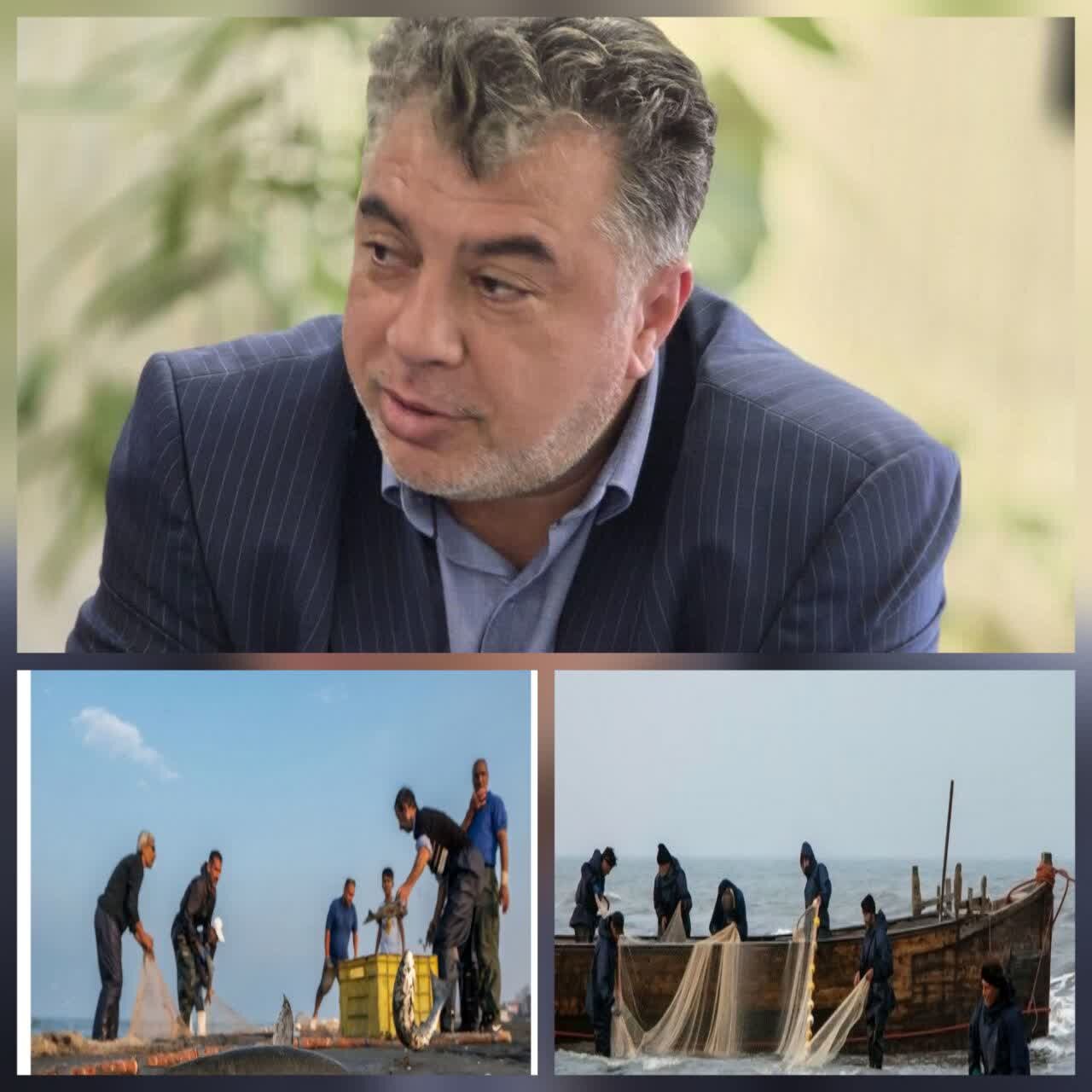 صید ۲۲۵ تنی ماهیان استخوانی در گیلان صید ۲۲۵ تنی ماهیان استخوانی در گیلان