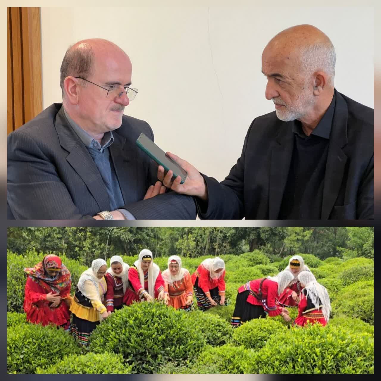 لاهوتی نماینده لنگرود: هدف از اصلاح قیمت بنزین درآمدزایی نیست | سازمان چای نباید منحل شود