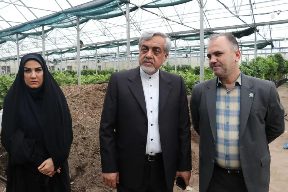 فرماندار رشت بر حمایت هدفمند از تولیدکنندگان تأکید کرد فرماندار رشت بر حمایت هدفمند از تولیدکنندگان تأکید کرد