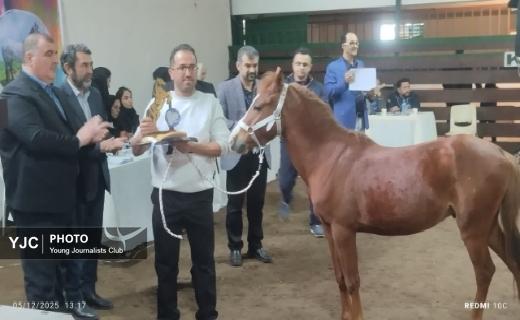 جشنواره ملی اسب کاسپین در بندرانزلی+ تصاویر و فیلم