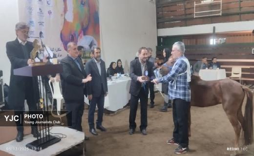 جشنواره ملی اسب کاسپین در بندرانزلی+ تصاویر و فیلم