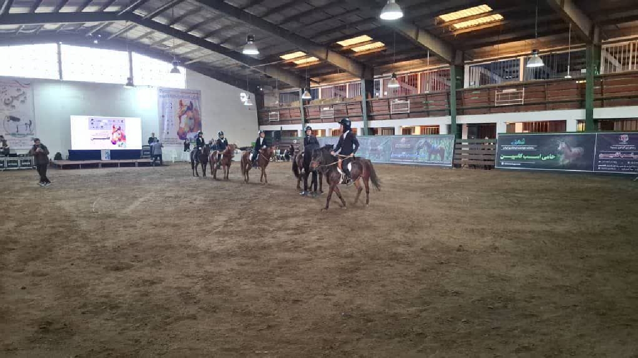 جشنواره ملی اسب کاسپین در بندرانزلی+ تصاویر و فیلم