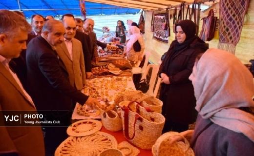 جشنواره شکرانه برداشت کیوی در تالش+ تصاویر