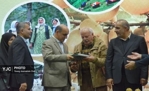 جشنواره شکرانه برداشت کیوی در تالش+ تصاویر