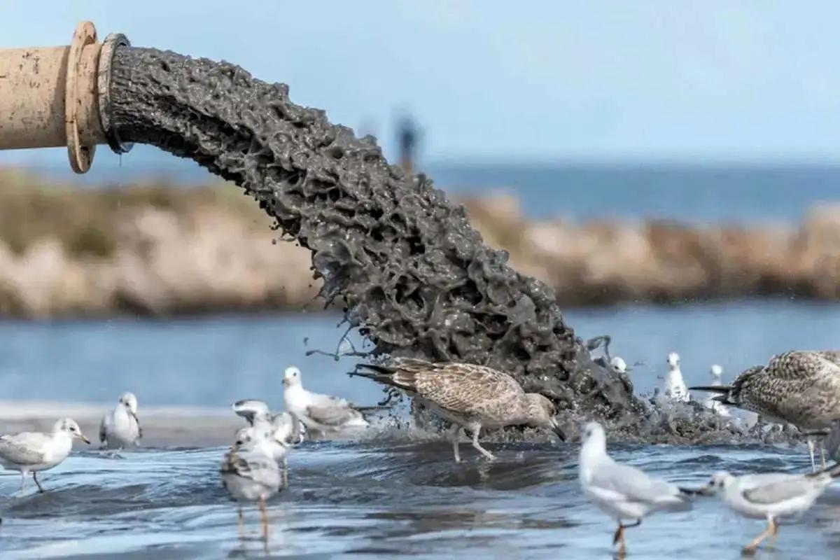 تالاب انزلی در حال خفه شدن؛ پساب‌ها نفس اکوسیستم شمال را گرفته‌اند