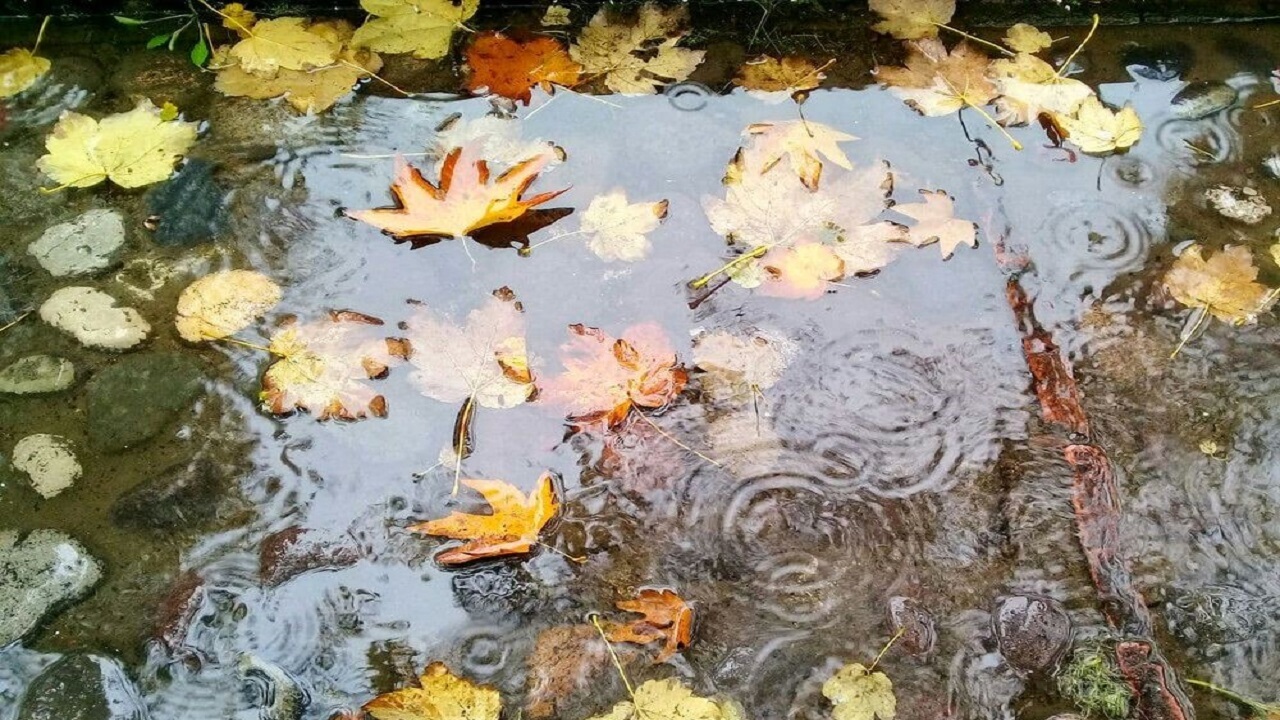 امید گیلانی‌ها به افزایش بارندگی در زمستان