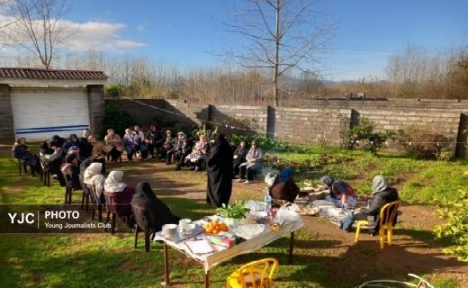 نقش آفرینی بانوان در اقتصاد مقاومتی / از شالیزار‌های گیلان تا تار و پود‌های قالی