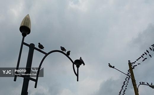 پرتوی از آسمان ما را بس است