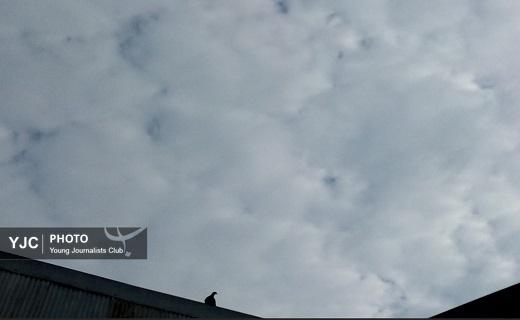 پرتوی از آسمان ما را بس است