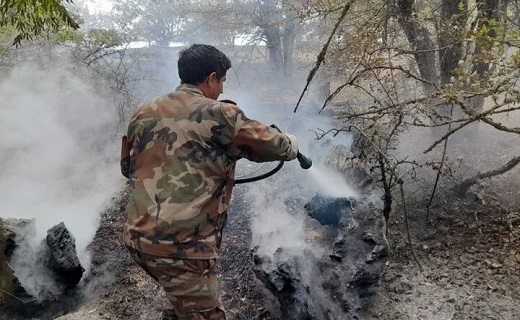 وزش باد گرم و آتش‌سوزی عرصه‌های طبیعی در گیلان