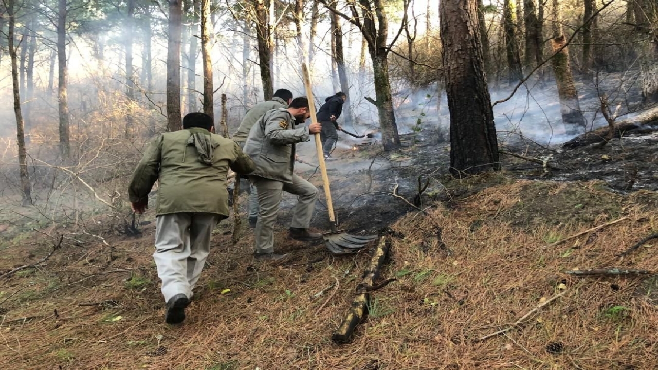 مهار آتش‌سوزی در جنگل‌های حاشیه منطقه حفاظت‌شده لیسار