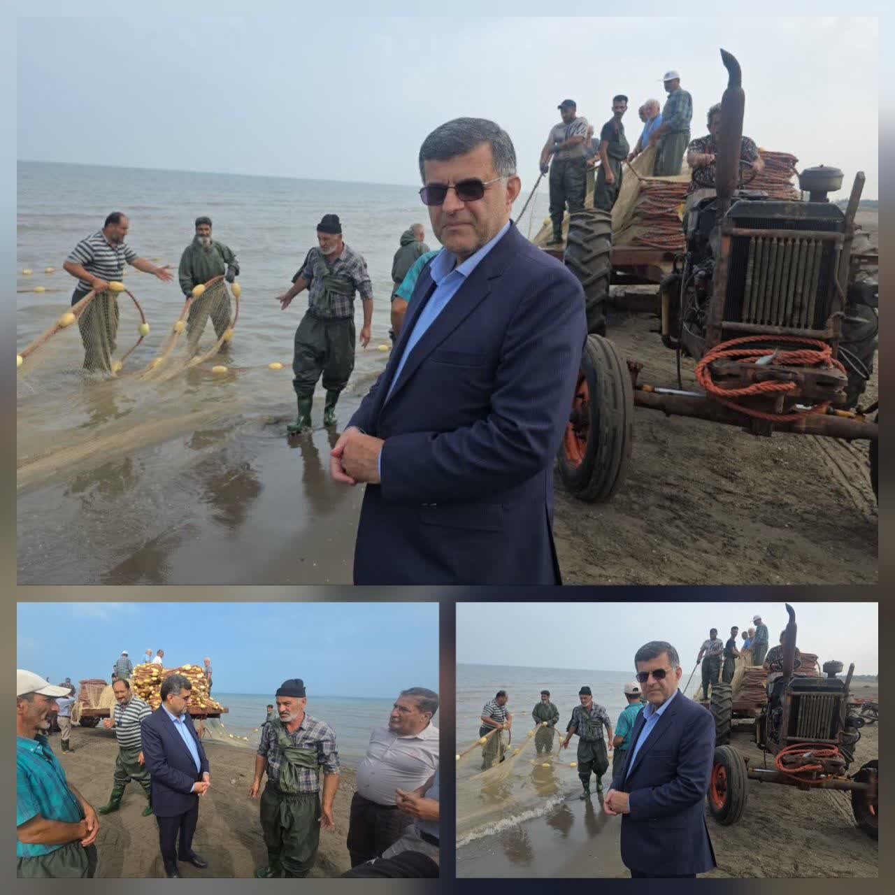 صید ۱۵۵ تنی ماهیان استخوانی در ساحل کیاشهر