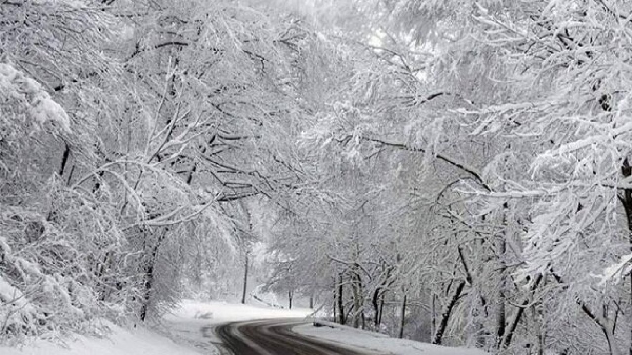 هشدار سطح زرد هواشناسی/ بارش برف در ارتفاعات گیلان