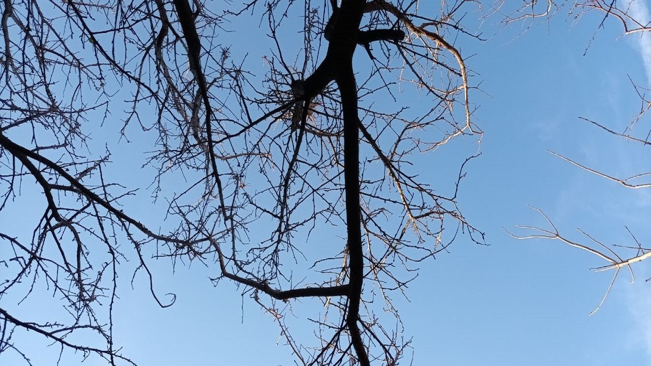 وزش باد گرم تا پنجشنبه در گیلان