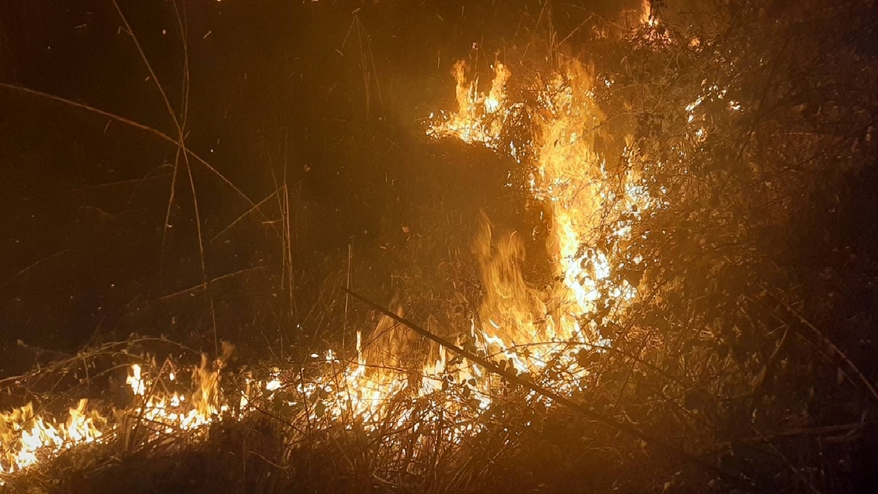 مهار آتش‌سوزی عمدی در پارک ملی بوجاق